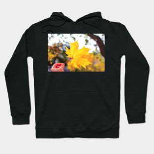 Hand holding golden yellow maple leaf Hoodie